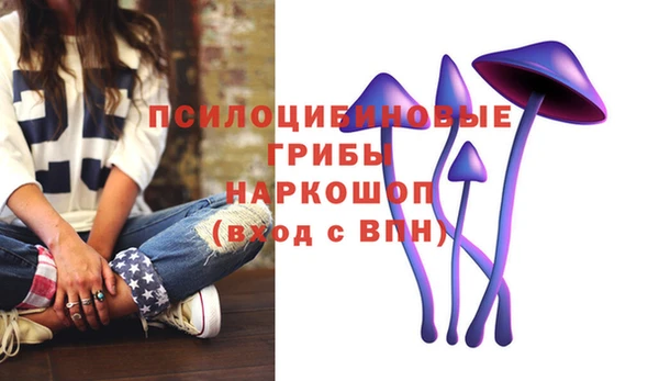 дмт Горняк