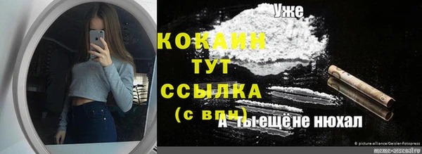 дмт Горняк