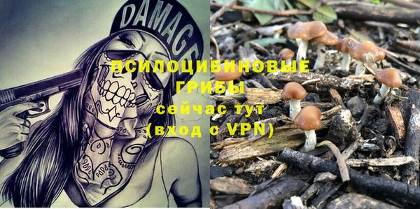 стафф Горнозаводск
