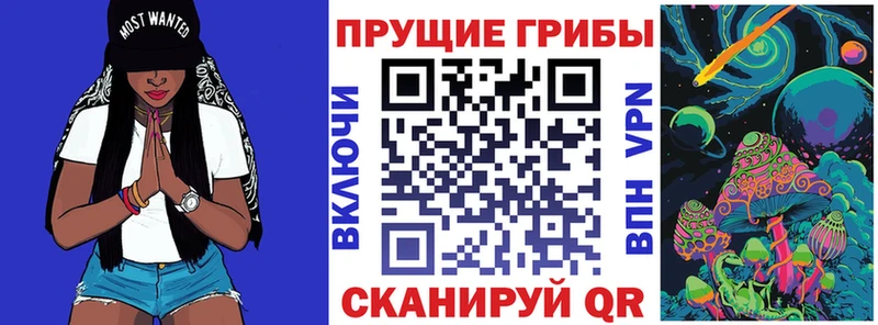 купить наркоту  Москва  Псилоцибиновые грибы Psilocybe 