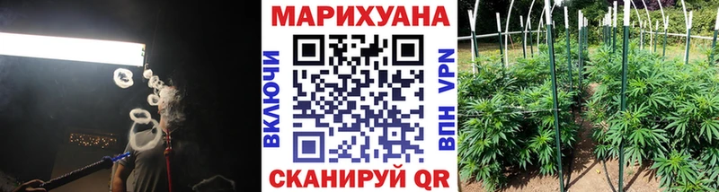 Бошки марихуана гибрид darknet наркотические препараты Москва